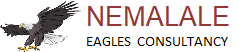 Nemalale Holdings